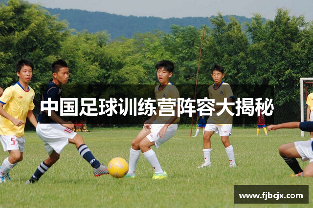 中国足球训练营阵容大揭秘